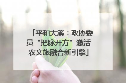 平和大溪：政协委员“把脉开方”激活农文旅融合新引擎