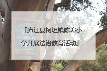庐江县柯坦镇陈埠小学开展法治教育活动
