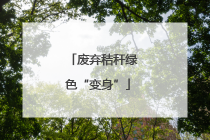 废弃秸秆绿色“变身”