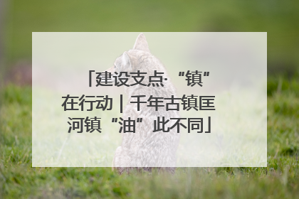 建设支点·“镇”在行动｜千年古镇匡河镇“油”此不同
