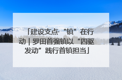建设支点·“镇”在行动｜罗田首强镇以“四驱发动”践行首镇担当