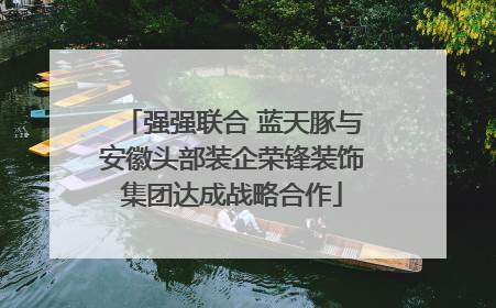 强强联合 蓝天豚与安徽头部装企荣锋装饰集团达成战略合作