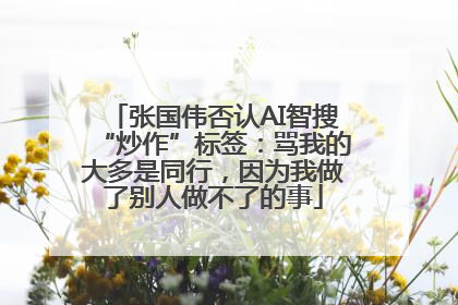 张国伟否认AI智搜“炒作”标签：骂我的大多是同行，因为我做了别人做不了的事