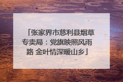 张家界市慈利县烟草专卖局：党旗映照风雨路 金叶情深暖山乡