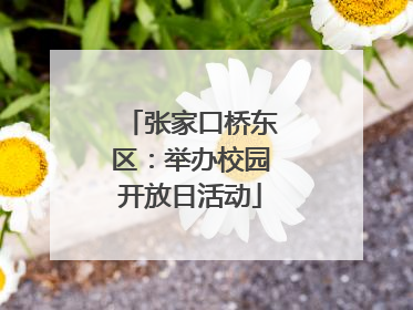 张家口桥东区：举办校园开放日活动