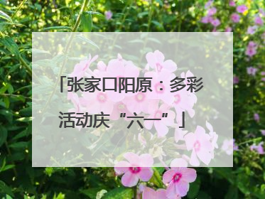 张家口阳原：多彩活动庆“六一”