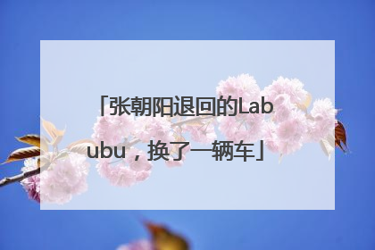 张朝阳退回的Labubu，换了一辆车
