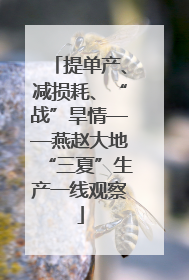 提单产、减损耗、“战”旱情——燕赵大地“三夏”生产一线观察