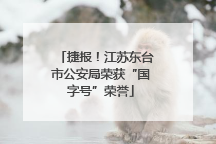 捷报！江苏东台市公安局荣获“国字号”荣誉