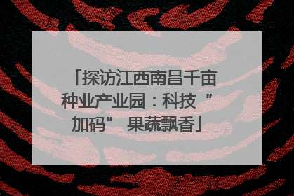 探访江西南昌千亩种业产业园：科技“加码” 果蔬飘香