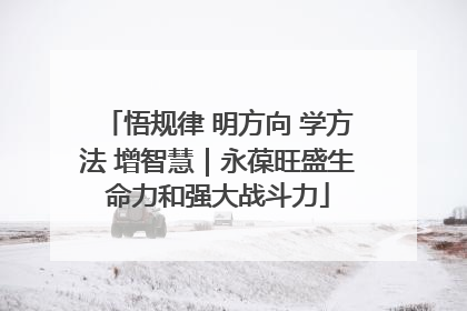悟规律 明方向 学方法 增智慧｜永葆旺盛生命力和强大战斗力
