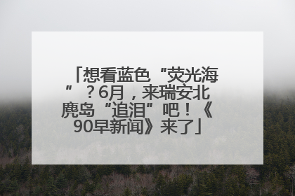 想看蓝色“荧光海”？6月，来瑞安北麂岛“追泪”吧！《90早新闻》来了