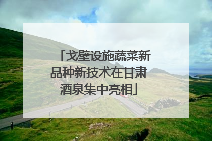 戈壁设施蔬菜新品种新技术在甘肃酒泉集中亮相