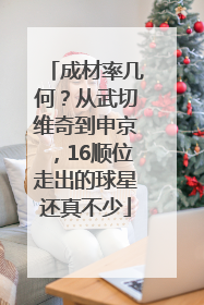 成材率几何？从武切维奇到申京，16顺位走出的球星还真不少