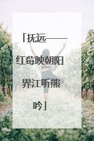 抚远——红莓映朝阳 界江听熊吟