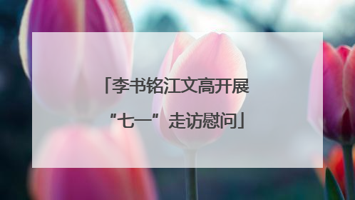 李书铭江文高开展“七一”走访慰问