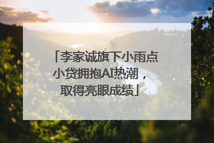 李家诚旗下小雨点小贷拥抱AI热潮，取得亮眼成绩