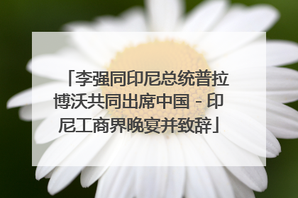 李强同印尼总统普拉博沃共同出席中国－印尼工商界晚宴并致辞