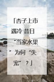 杏子上市遇冷 昔日“当家水果”为何“失宠”？