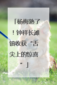 杨梅熟了！钟祥长滩镇收获“舌尖上的惊喜”