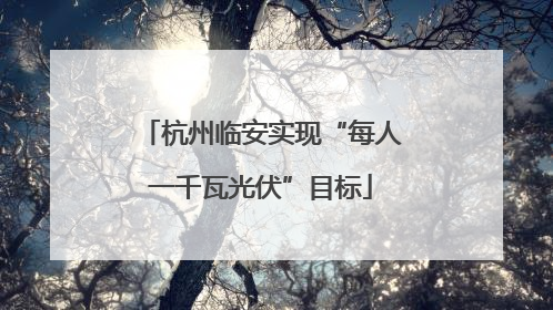 杭州临安实现“每人一千瓦光伏”目标