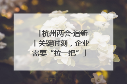 杭州两会·追新丨关键时刻，企业需要“拉一把”