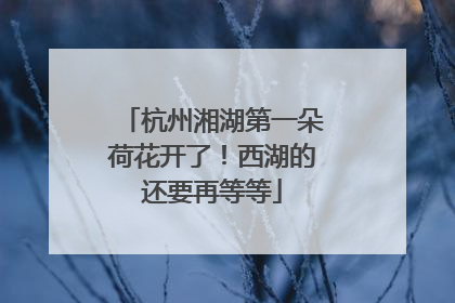 杭州湘湖第一朵荷花开了！西湖的还要再等等