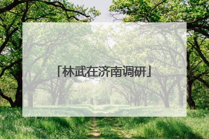 林武在济南调研