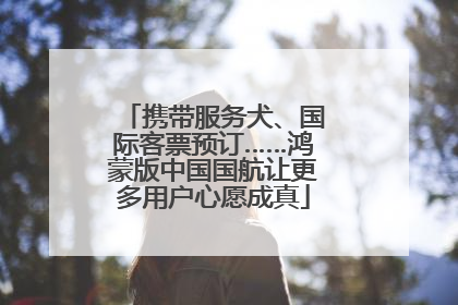 携带服务犬、国际客票预订……鸿蒙版中国国航让更多用户心愿成真