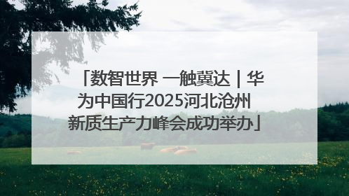数智世界 一触冀达｜华为中国行2025河北沧州新质生产力峰会成功举办