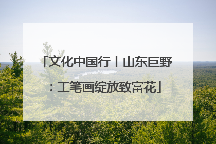 文化中国行丨山东巨野：工笔画绽放致富花