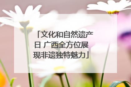 文化和自然遗产日 广西全方位展现非遗独特魅力