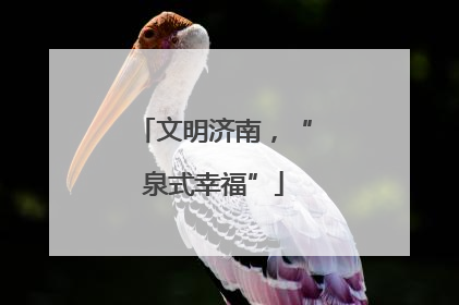 文明济南，“泉式幸福”