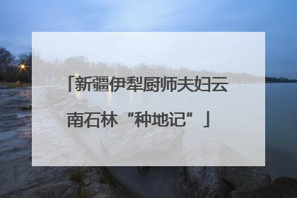 新疆伊犁厨师夫妇云南石林“种地记”