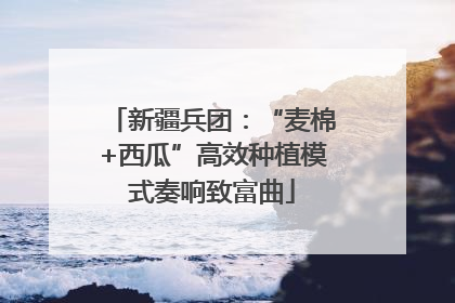 新疆兵团：“麦棉+西瓜”高效种植模式奏响致富曲