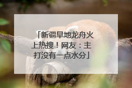 新疆旱地龙舟火上热搜！网友：主打没有一点水分