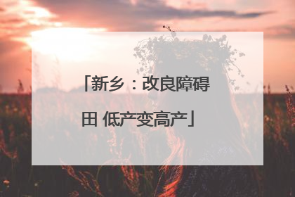 新乡：改良障碍田 低产变高产
