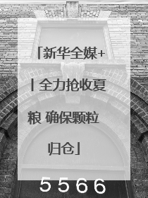 新华全媒+丨全力抢收夏粮 确保颗粒归仓