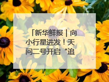 新华鲜报｜向小行星进发！天问二号开启“追星”之旅