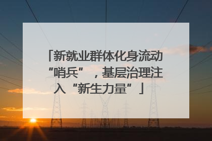 新就业群体化身流动“哨兵”，基层治理注入“新生力量”