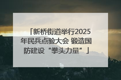 新桥街道举行2025年民兵点验大会 锻造国防建设“拳头力量”