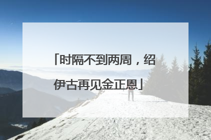 时隔不到两周，绍伊古再见金正恩