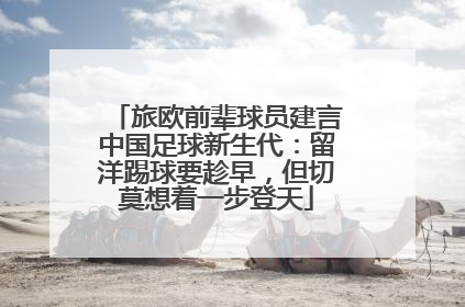 旅欧前辈球员建言中国足球新生代：留洋踢球要趁早，但切莫想着一步登天