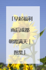 早起福利 雨后成都朝霞满天｜图集