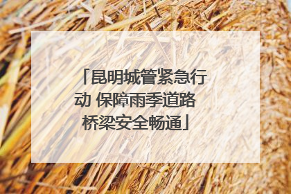 昆明城管紧急行动 保障雨季道路桥梁安全畅通