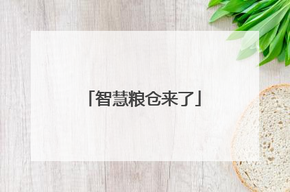 智慧粮仓来了
