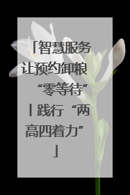 智慧服务让预约卸粮“零等待”丨践行“两高四着力”