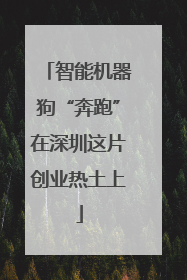 智能机器狗“奔跑”在深圳这片创业热土上