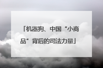 机器狗、中国“小商品”背后的司法力量