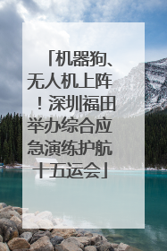 机器狗、无人机上阵！深圳福田举办综合应急演练护航十五运会